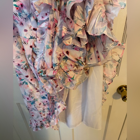 Ivy City Co. Dolly Floral Dress, Size 1X - Pink Flowers Princess Picnic Spring - Picture 10 of 16